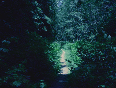 rainy-velomobile-road-2