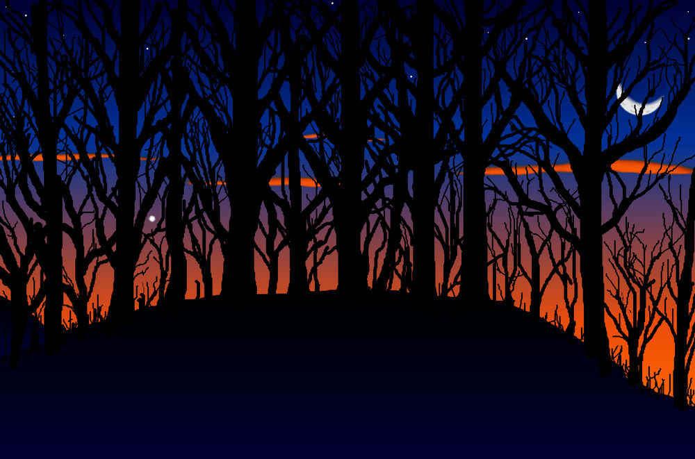 sun set (or rise) in forest